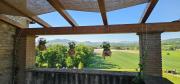 Top Todi