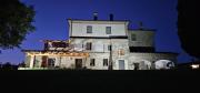 Top Todi