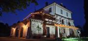 Top Todi