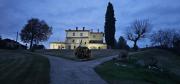 Top Todi
