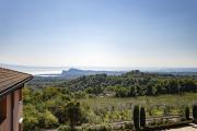 Top Puegnago