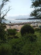 Oasis Resort & Spa with 1 bedr 5-1-Б