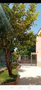 Top Tarquinia