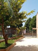Top Tarquinia