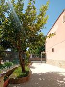 Top Tarquinia