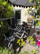 Top Trevignano Romano