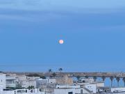Top Leuca