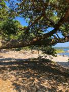 Top Nynäshamn
