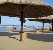 Top Pescara