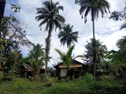 Top Buenaventura