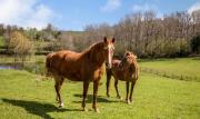 Top Salles-Curan