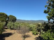Top Sant Isidoro