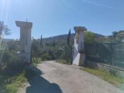 Top Itri