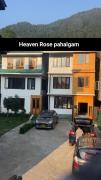 New Heaven Rose