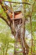 Top Monès
