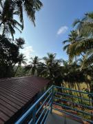 Top Agonda