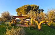 Top Montefiascone