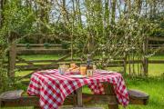 Top Sedlescombe