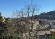 Top Portofino