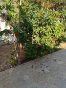 Magnifique villa pied dans leau ou presque!
