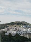 Top Arjana