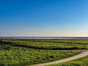 Top Le Vivier-sur-Mer