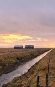 The Forgotten Farmhouse