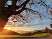 Top Oberharmersbach