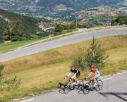 Top Vars