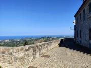Top Pesaro