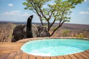 Top Welgevonden Game Reserve