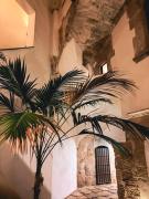 Casa Mavi - An apartment in the heart of Palermo