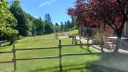 Top Wallscheid