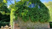 Top Wallscheid