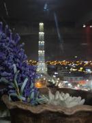 Urban Dreams Zona 9