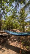 Jamjir Retreat Farm House