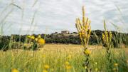 Top Santa María de Marlés