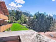 Top Wengen