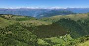 Top Vacallo