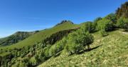 Top Vacallo
