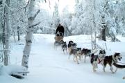 Top South River Top South River