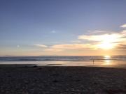 Top Ventura