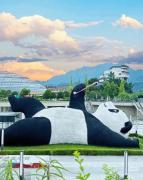 Top Chengdu Top Chengdu