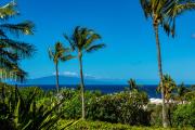 Top Wailea