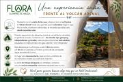 Top Fortuna