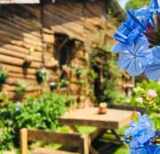 Celonya Wooden Resort