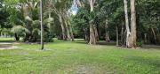 Top Cooktown