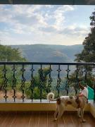 Top Panchgani