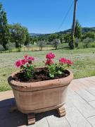 Top Bevagna