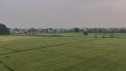 Shanti niwas
